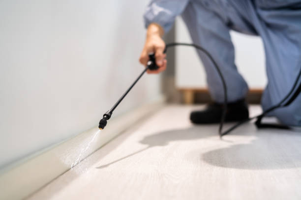 Licensed Pest Control service in Willowbrook, IL - Show Me Pest Control